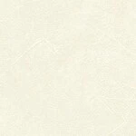 ホワイト  塗り壁調   防かび 抗菌  リリカラ LL-6353 