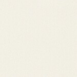 アイボリー  塗り壁調 トップコート  防かび  リリカラ LL-6359 旧品番LL-7711