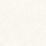 ホワイト  塗り壁調 トップコート  表面強化 防かび  リリカラ LL-6423 