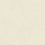 ベージュ  塗り壁調   防かび  リリカラ LL-6445 旧品番LL-7098