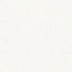 シャドーホワイト  織物調   表面強化 防かび  リリカラ LL-6526 