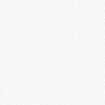 ホワイト  塗り壁調 トップコート  防かび  リリカラ LL-6550 旧品番LL-7679