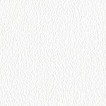 ホワイト  塗り壁調 トップコート  防かび  リリカラ LL-6551 旧品番LL-7681