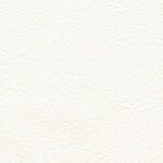 ホワイト  塗り壁調   防かび 抗菌  リリカラ LL-6555 旧品番LL-7183