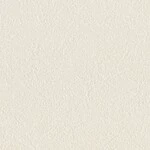 シャドーホワイト  塗り壁調   防かび 抗菌  リリカラ LL-6557 