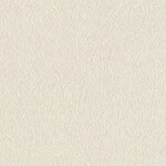 シャドーホワイト  塗り壁調 トップコート  抗菌 表面強化 防かび  リリカラ LL-6559 