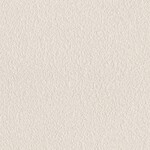 シャドーホワイト  塗り壁調 トップコート  抗菌 表面強化 防かび  リリカラ LL-6562 