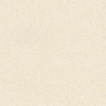 シャドーホワイト  塗り壁調   抗菌 表面強化 防かび  リリカラ LL-6614 