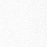 ホワイト  塗り壁調   抗菌 表面強化 防かび  リリカラ LL-6616 