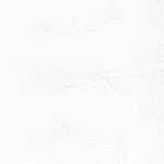 ホワイト  塗り壁調   抗菌 表面強化 防かび  リリカラ LL-6617 