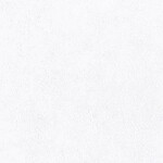 ホワイト  塗り壁調   汚れ防止 抗菌 表面強化 防かび  リリカラ LL-6621 旧品番LL-7906