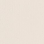 ライトグレー  塗り壁調   汚れ防止 抗菌 表面強化 防かび  リリカラ LL-6629 旧品番LL-7895