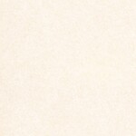 アイボリー  塗り壁調   汚れ防止 抗菌 表面強化 防かび  リリカラ LL-6678 旧品番LL-7941