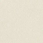 シャドーホワイト  塗り壁調   汚れ防止 消臭 抗菌 防かび  リリカラ LL-6718 