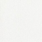 ホワイト  塗り壁調   汚れ防止 消臭 抗菌 防かび  リリカラ LL-6765 旧品番LL-7854