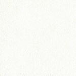 ホワイト  塗り壁調   汚れ防止 消臭 抗菌 防かび  リリカラ LL-6766 旧品番LL-7852