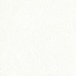 ホワイト  塗り壁調   汚れ防止 消臭 抗菌 防かび  リリカラ LL-6766 旧品番LL-7852