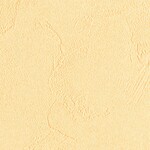 イエロー  塗り壁調   汚れ防止 消臭 抗菌 防かび  リリカラ LL-6779 