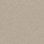 ライトブラウン  塗り壁調   消臭 抗菌 防かび  リリカラ LL-6823 