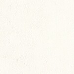 ライトアイボリー  塗り壁調 トップコート  防かび 抗菌 表面強化 消臭  リリカラ LL-6847 旧品番LL-7795