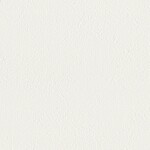 シャドーホワイト  塗り壁調 トップコート  防かび 抗菌 表面強化 消臭  リリカラ LL-6848 