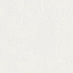 シャドーホワイト  塗り壁調 トップコート  防かび 抗菌 表面強化 消臭  リリカラ LL-6848 