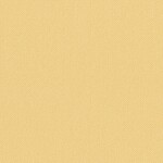 イエロー  織物調 トップコート  消臭 抗菌 防かび  リリカラ LL-6869 