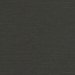 ブラック  織物調   防かび  リリカラ LL-7149
