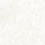 ホワイト  塗り壁調   消臭 抗菌 防かび  リリカラ LL-7531