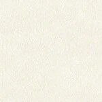 ホワイト  塗り壁調 トップコート  防かび 抗菌  リリカラ LLA-6053 