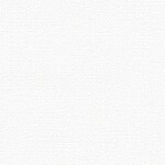 ホワイト  塗り壁調 クリーンコート  表面強化 防かび  リリカラ LV2518 旧品番LV3477