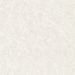 シャドーホワイト  塗り壁調 トップコート  抗菌 表面強化 防かび  リリカラ LW-1025 