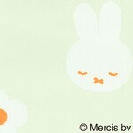 グリーン  キャラクター＆イラスト   防かび  リリカラ LW-1724 