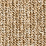 ベージュ 防炎 静電 防汚れ 重歩行 耐薬品 サンゲツ NT720
