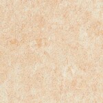 ライトブラウン ノンワックスコーティング＋抗菌 サンゲツ PF-22334 旧品番PF-20366
