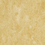 イエロー ノンワックスコーティング＋抗菌 サンゲツ PF-22342 旧品番PF-20364
