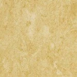 イエロー ノンワックスコーティング＋抗菌 サンゲツ PF-22342 旧品番PF-20364
