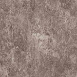 ダークブラウン ノンワックスコーティング＋抗菌 サンゲツ PF-22345 旧品番PF-20359