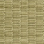 グリーン 衝撃吸収+抗菌＋消臭 サンゲツ PG-22085 旧品番PG-20096