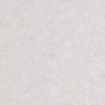 ライトグレー ノンワックスコーティング+耐動荷重 サンゲツ PG-24193 旧品番PG-22202