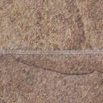 ブラウン 抗菌＋防滑性 サンゲツ PMC-2109 旧品番PM-22168