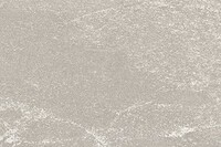 ライトグレー ストーンタイル  東リ PST4101 旧品番PST3093