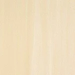 ベージュ ノンワックスコーティング＋抗菌 サンゲツ PY-22412 旧品番PY-20830