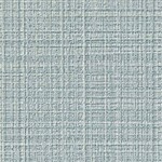 グリーン 織物調  防かび 抗菌  サンゲツ RE53005