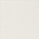 シャドーホワイト 塗り壁調  防かび 抗菌  サンゲツ RE53072