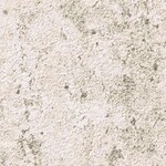 ライトグレー 塗り壁調  防かび 抗菌  サンゲツ RE53197