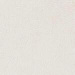 ライトアイボリー コンクリート・モルタル  防かび  サンゲツ RE53378