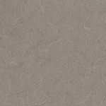 グレー 塗り壁調 ウレタンコート 表面強化 防かび  サンゲツ RE53393