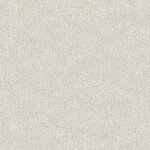 ライトグレー 塗り壁調  防かび 抗菌  サンゲツ RE55096 