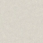 ライトグレー 塗り壁調  防かび 抗菌  サンゲツ RE55096 